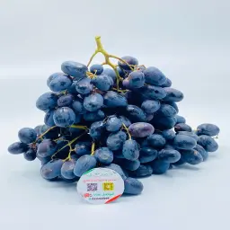 African Black Grape